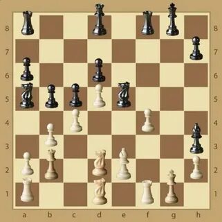 9 чемпион по шахматам