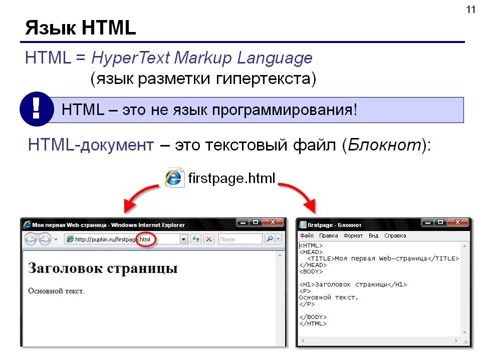 Язык гипертекстовой разметки html. Языки разметки веб страниц. Основы языка гипертекстовой разметки html.  Язык разметки гипертекста CSS;.