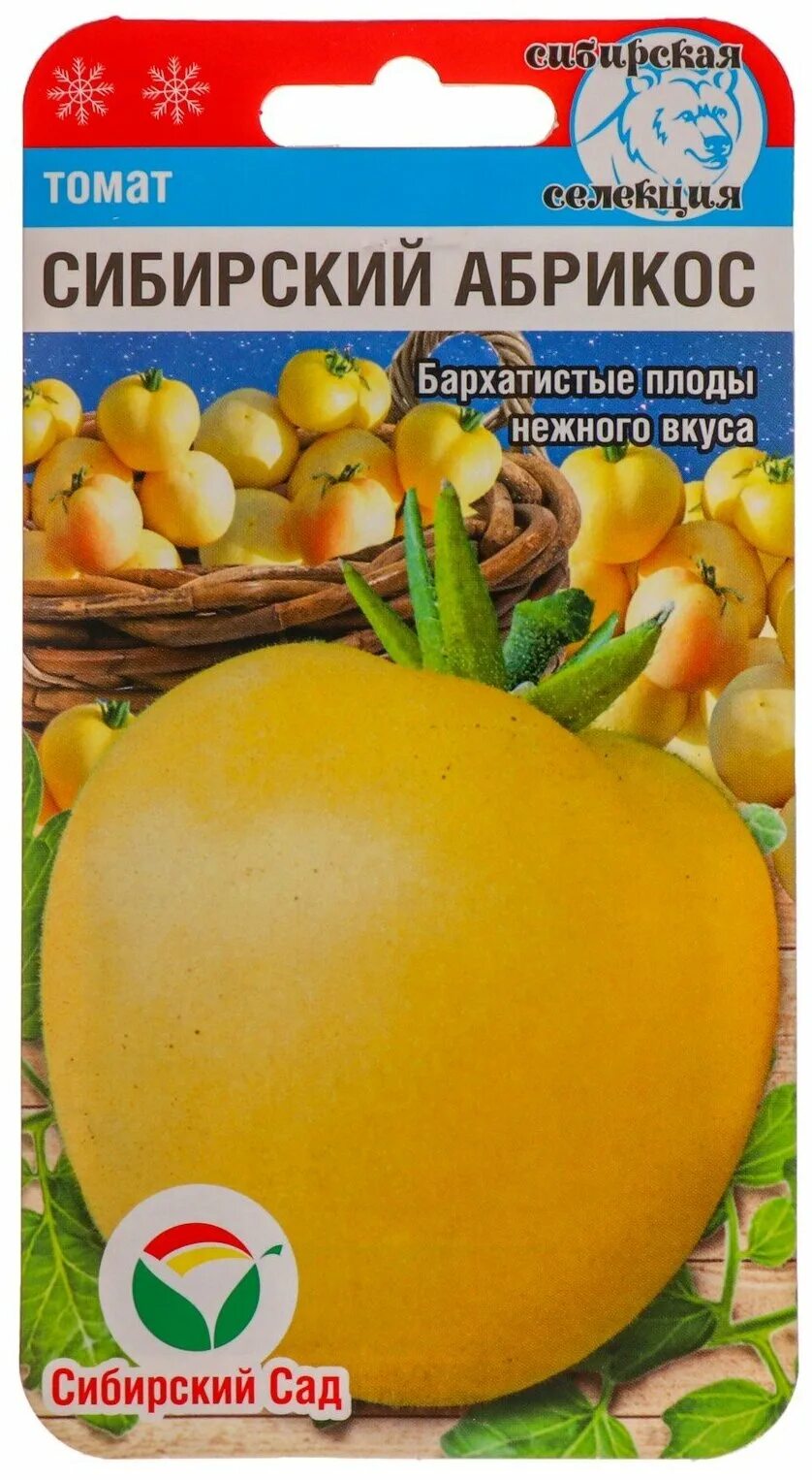 семена помидоры абрикос f1. томат абрикос сады россии. помидоры абрикос. томат сибирский абрикос. помидор абрикос f1 челябинск.