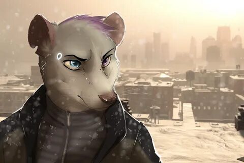 Furry human