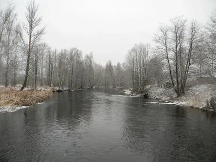 Погода в березайке
