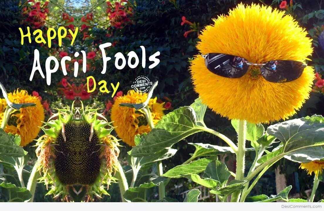 Fools day is on the. Happy april fools. happy fools day. april fool&#039;s day. april 1 - april fool&#039;s day.