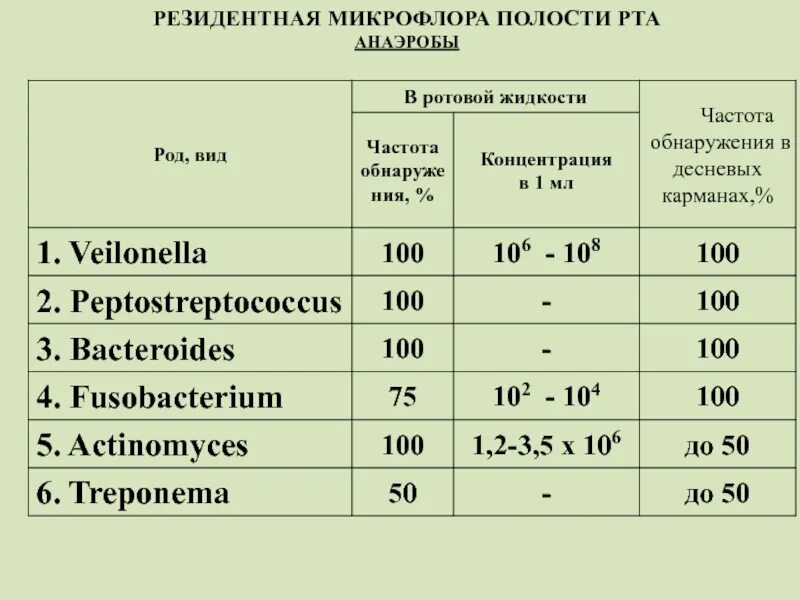 Микрофлора примеры. Полости рта микроорганизмы нормальной микрофлоры таблица. нормальная и резидентная микрофлора полости рта. резидентная микрофлора ротовой полости. микроорганизмы нормальной микрофлоры полости рта.