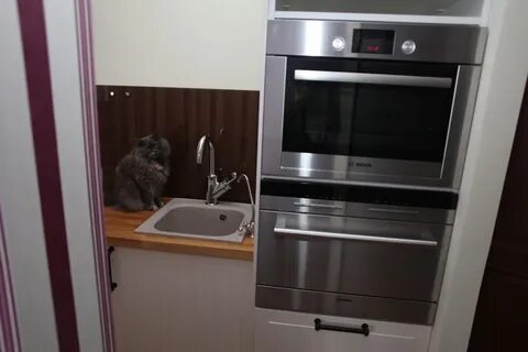 Dishwasher microwave