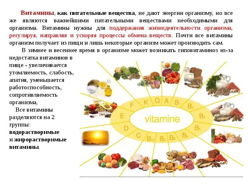 Основные источники энергии для организма. Пищевые вещества необходимые для жизнедеятельности организма. Витамины как питательные вещества. Витамины необходимы для жизнедеятельности организма.. Какие питательные вещества дают организму энергию.