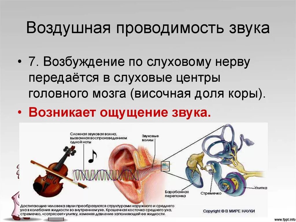 Воздушная проводимость звука. Воздушная и костная проводимость слуха. Исследование воздушной проводимости звука. Воздушная и костная проводимость звука.