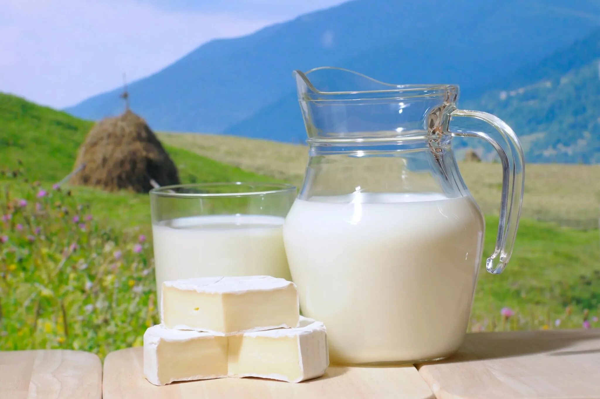 Какой кисломолочный напиток изобрели на северном кавказе. Курунга кисломолочный напиток. варенец шубат). лавсан молочный арт 56207. кумыс из козьего молока.