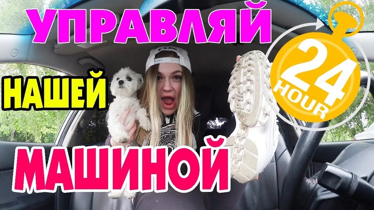 Ляпота тв день рождения кевина. Ляпота тв. 24 часа в магазине ляпота тв. Ляпота тв 24 часа в машине со всеми котами. Ляпота тв 24 часа в машине со всеми котами.