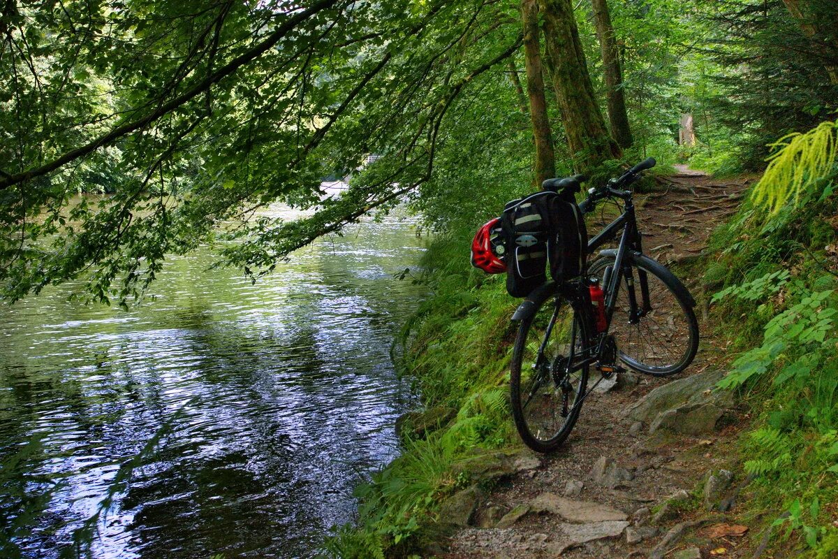 River bike. Велосипед у реки. Велосипед на речке. Велосипед в лесу. Велосипед на тропинке.