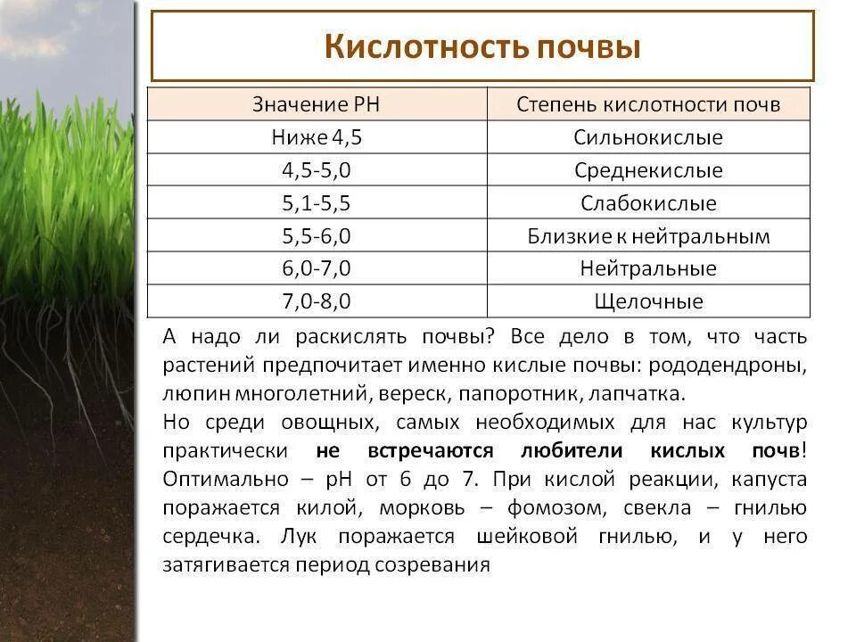 Какая почва на даче. РН 7.5 почвы кислотность. Кислотность почвы 5.0. Кислотность почвы 5.5. 5.6 Почвы 5-6 это кислотность.