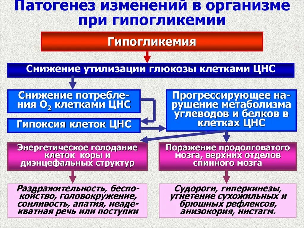 Признаки патогенеза. Механизм гипогликемии патофизиология. Этиология гипогликемии патофизиология. Патогенез симптомов гипогликемии. Алиментарная гипогликемия механизмы развития.