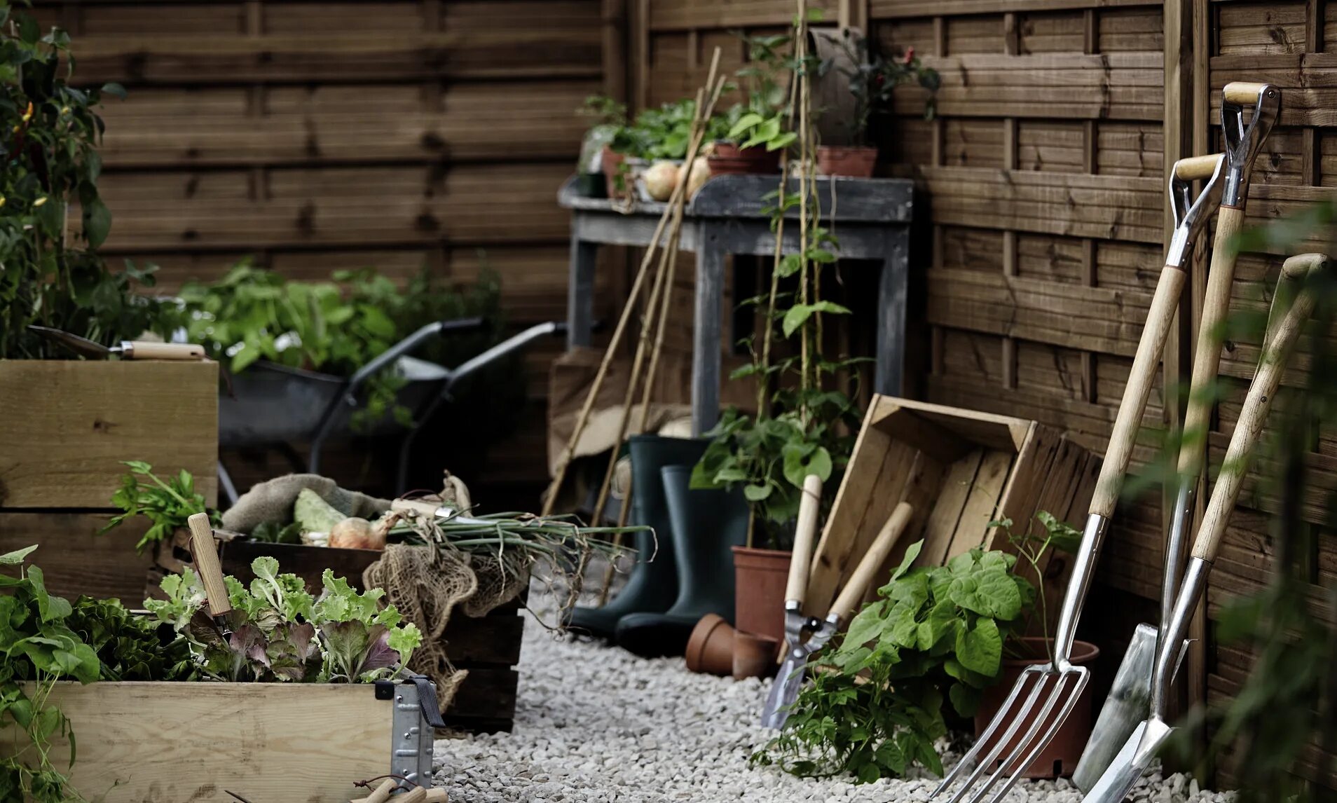 Get my garden. Открытый сад.воркшоп. сад-огород в квартире девушка. garden makeovers. funny garden.