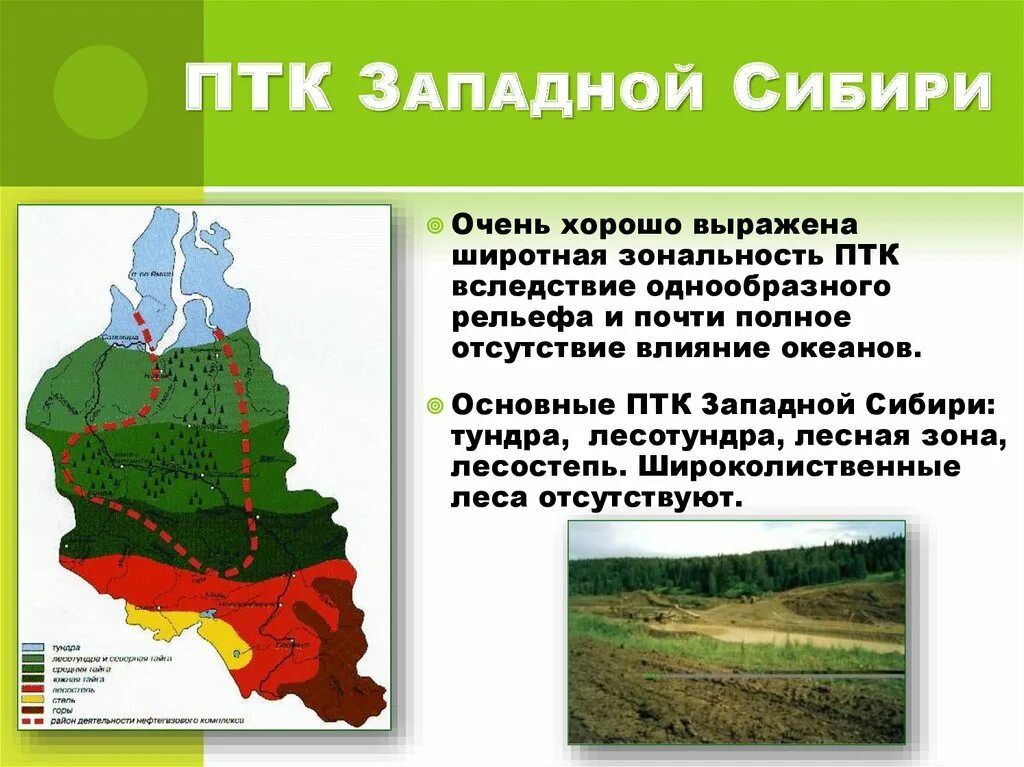 ПТК Западная Сибирь. Карта лесов Западной Сибири. Природно-территориальный комплекс Западной Сибири. Природные зоны Западной Сибири. Природная характеристика сибири