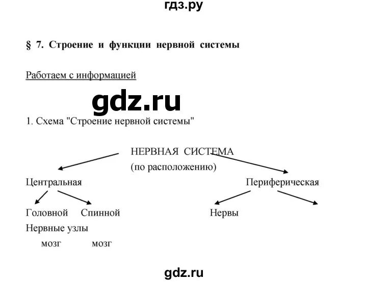 Биология 8 класс сивоглазов вопросы