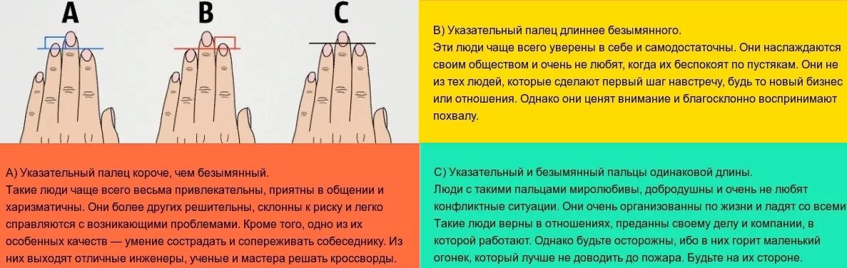 Длина пальцев женщин. Указательный палец длиннее. Типы рук по длине пальцев. Тип личности по длине пальцев. Безымянный палец длиннее указательного у мужчин.