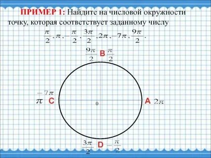 Окружность поиск точек