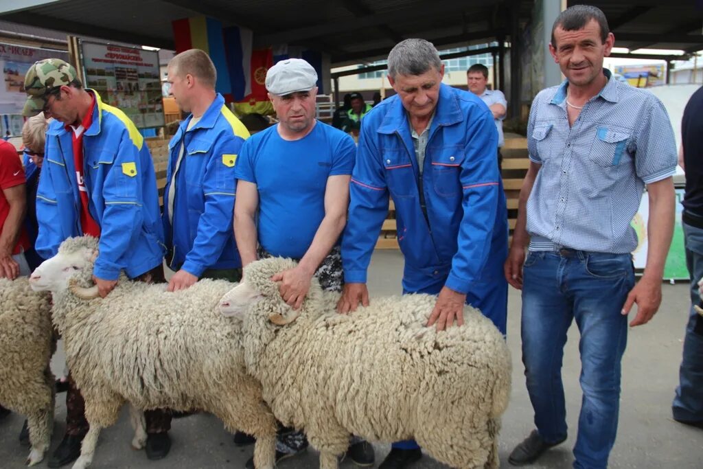 Агро ветеринария. Рабочий на ферме. Зоотехния селеокционер. Зоотехник. С днем зоотехника.