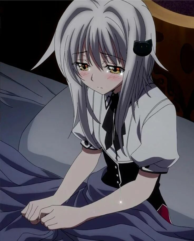 Конеко дхд. Конеко тодзё. dxd конеко. канеко dxd. koneko toujou аниме.