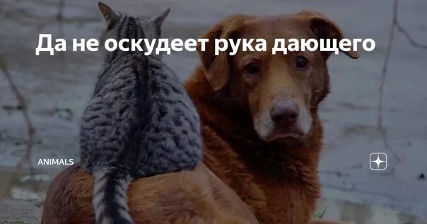 Не оскудеет рука дающего. Не обеднеет рука дающего. да не оскудеет рука дающего. да не оскудеет рука дающего продолжение. не оскудеет рука дающего пословица.