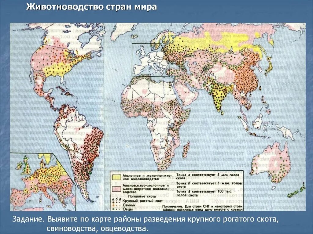 Районы производства сельскохозяйственной продукции