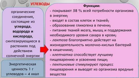 Функции углеводов кратко биология