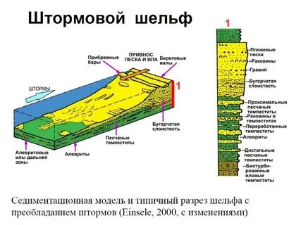 Широкий шельф