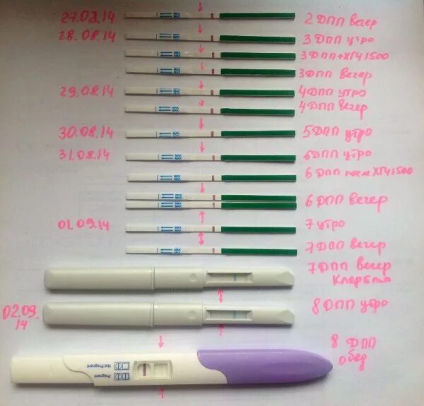 Тесты на беременность после переноса 5. Тест на беременность после эко. Тесты после подсадки эмбрионов. Тест на беременность после подсадки. Тест на беременность на 8 день после переноса.