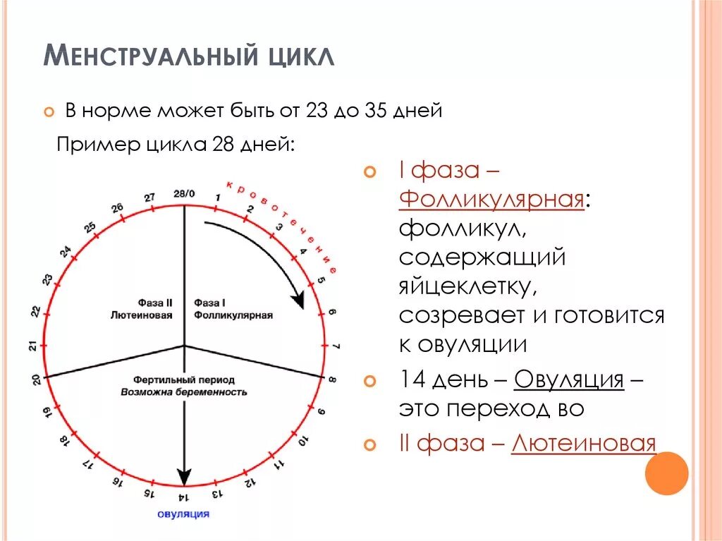 Какое время между циклами. Цикл месячных норма дней. Менструальный цикл правила. Менструальный цикл норма дней. Нормы менструационного цикла у женщин.