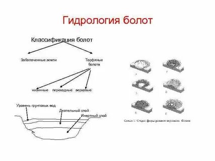 Установите соответствие между видами водных ванн
