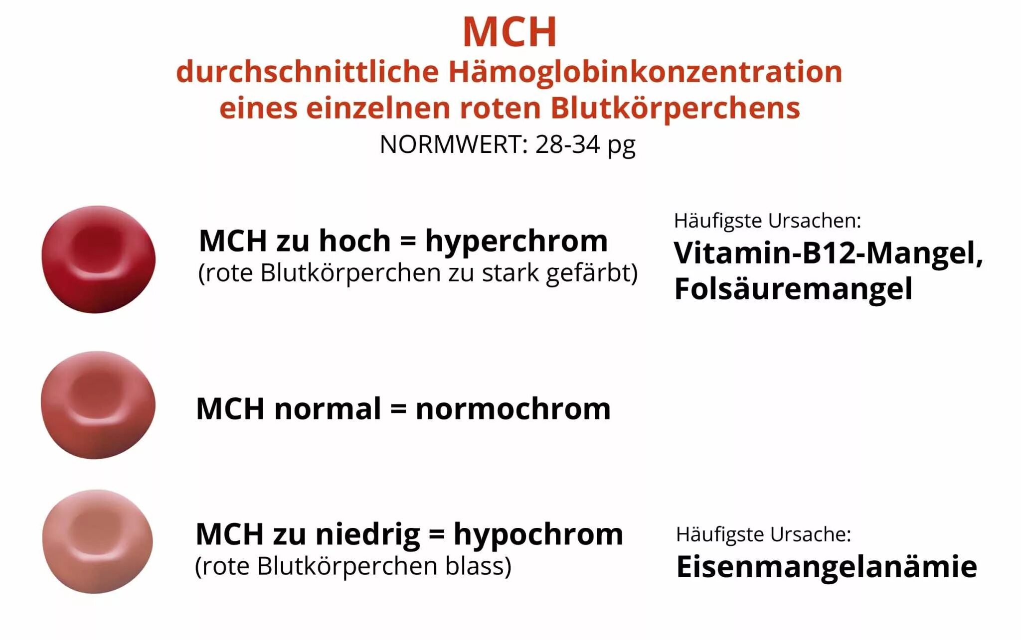 Mch анемия. MCH что это такое в крови. MCHC И MCH разница. MCH Blood Test. MCH MCHC В анализе крови.