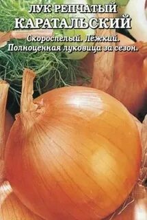 Лук золотые купола описание сорта отзывы