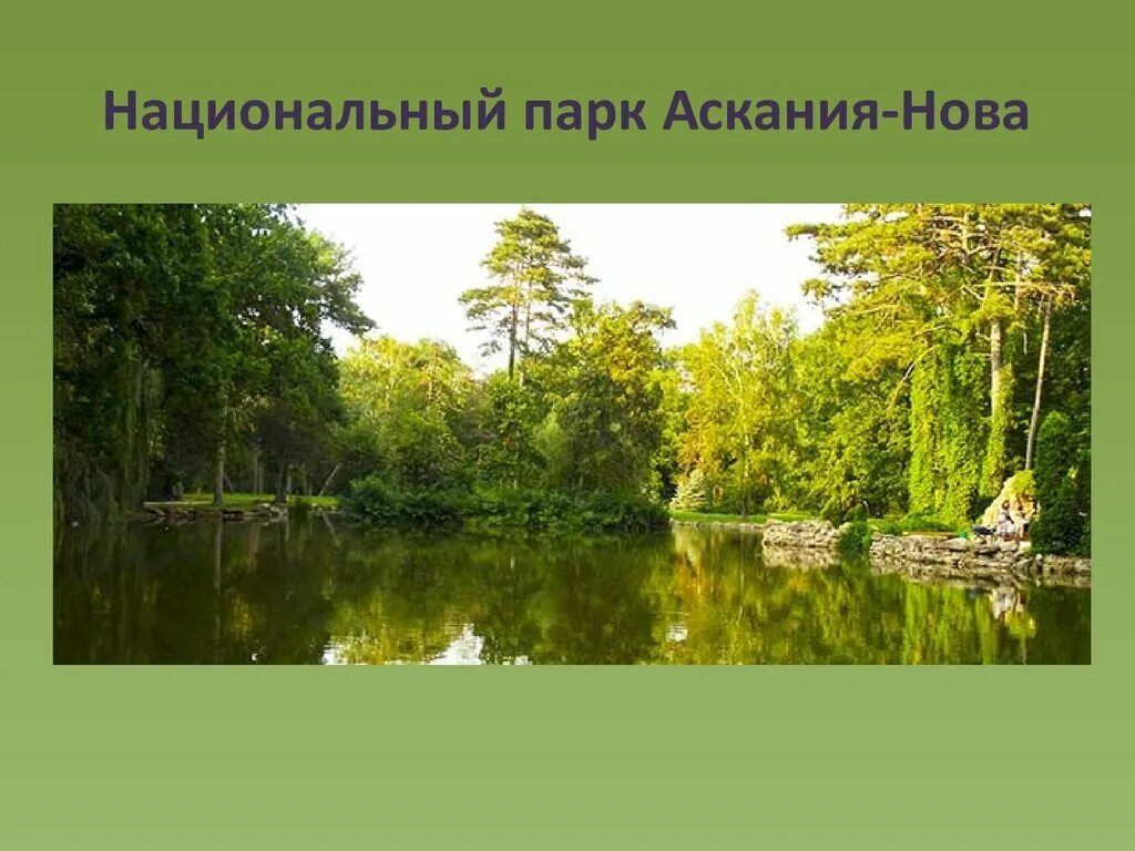 Слайд парк. Аскания-Нова национальный парк. Аскания-Нова национальный парк в 2021. Национальный парк Аскания Нова на карте. Аскания-Нова национальный парк сейчас.