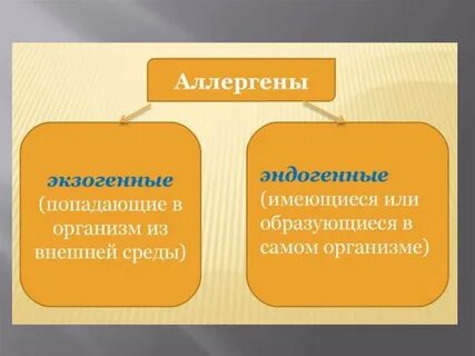 Экзогенная среда