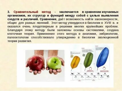 Примеры метода сравнения в биологии