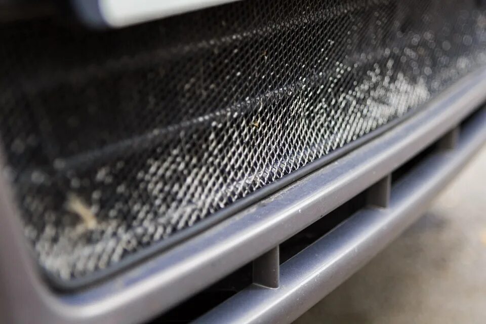 Накидная сетка на радиатор автомобиля. Сетка от мух на радиатор автомобиля. Сетка на радиаторную решетку. Сетка перед. Сетка от мух на автомобиль.