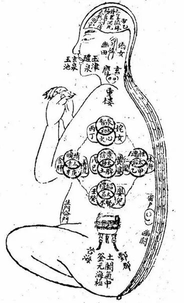 Акупунктура китайская медицина. Биологические часы организма человека по часам. Почувствовать энергию ци. Энергия ци. Мантек цзя.