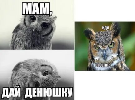 Картинка дай денежку