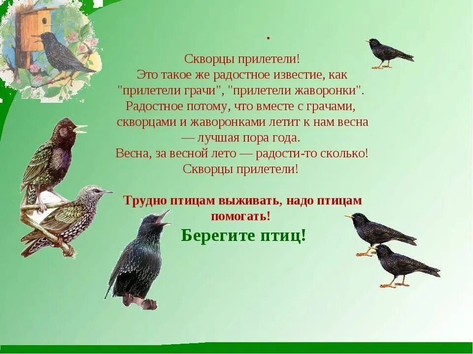 Какие птицы прилетают весной первыми 2 класс. Птицы весной 2 класс. Рассказ о птицах весной. Стихи про весенних птиц. Скворцы прилетели.