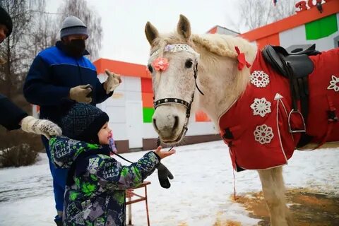 Масленица в швейцарии 2024