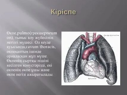 Ирина Иванова порно