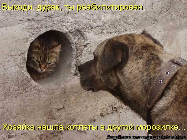 Не надо быть как все