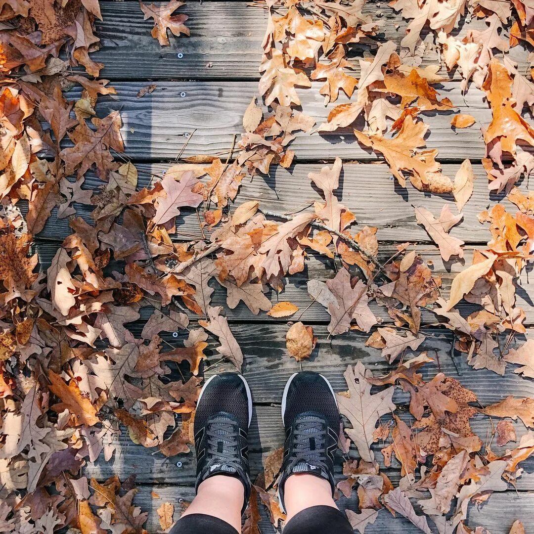 Autumn vibes maison. Autumn vibes maison