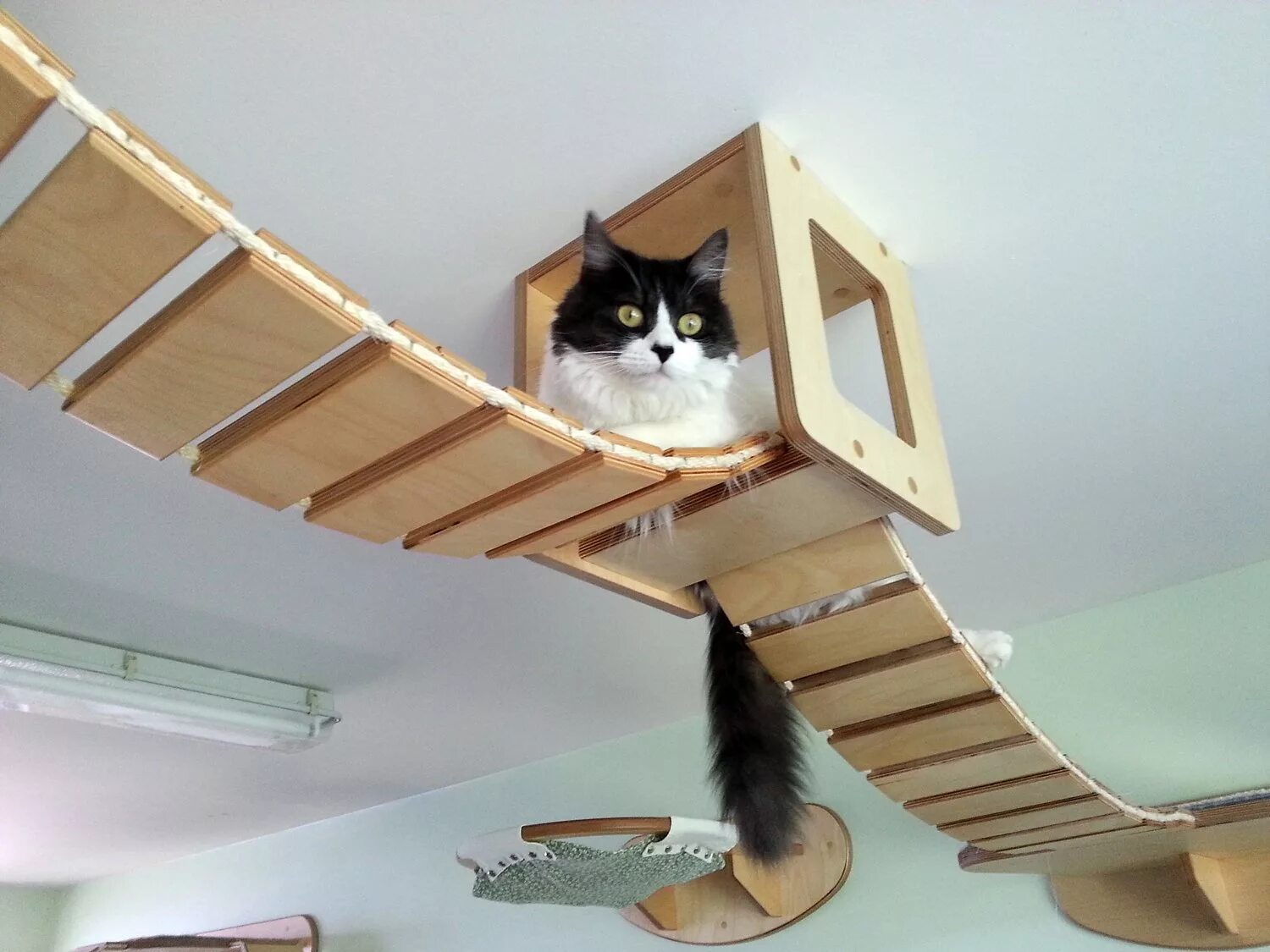 Развлечения для котов. Домик для кошек. Домик для кошки в квартире. Оригинальные домики для кошек. Огромные домики для кошек.