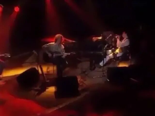 Песня бутусов гороховые зерна. Гороховые зёрна наутилус. Наутилус зерна слушать. Гороховые зёрна наутилус. Наутилус помпилиус гороховые зерна.