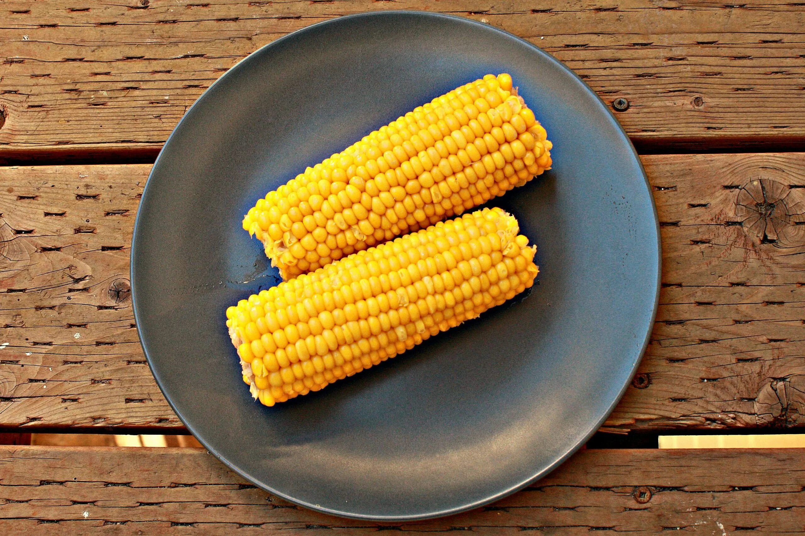 Кукуруза вареная в початках. Вареная кукуруза. Кукуруза в тарелке. Кукуруза отварная. Кукуруза початок.