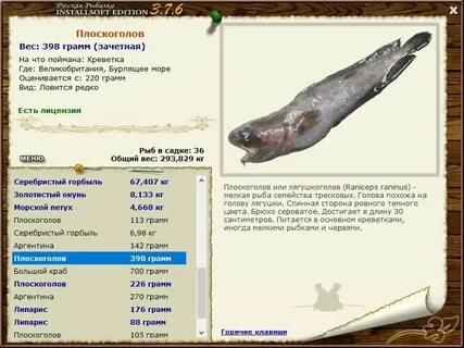 Хищная пресноводная рыба семейства тресковых 5