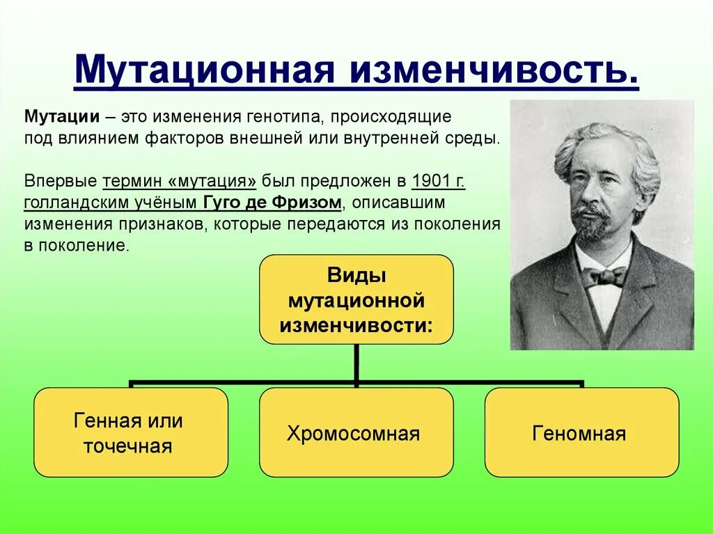 Признаки обусловленные генотипом. Мутационная изменчивость это в биологии 9 класс. Мутационная изменчивость 9 биология. Мутационная изменчивость (мутации). Мутационная изменчивость 9 класс.