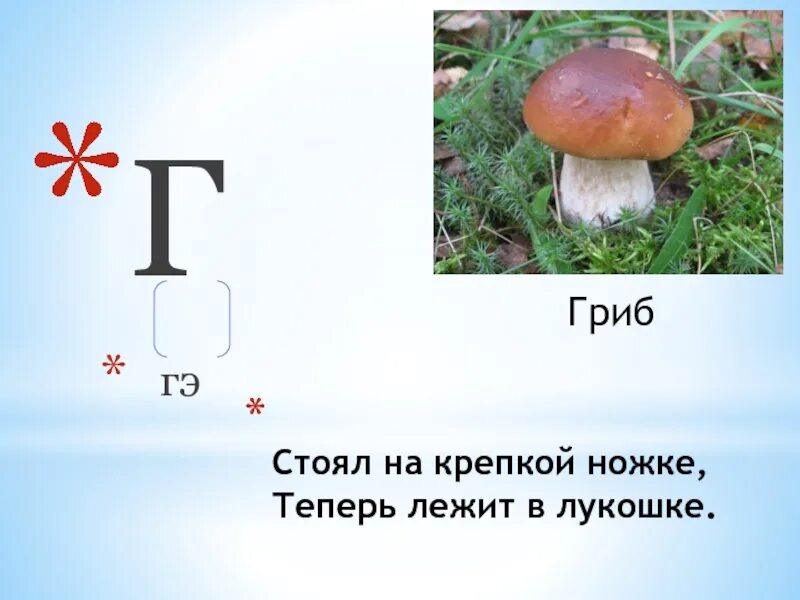 Стоял на крепкой ножке теперь лежит в лукошке. Загадка стоял на крепкой ножке теперь лежит в лукошке. Слово гриб. Слово гриб из азбуки.