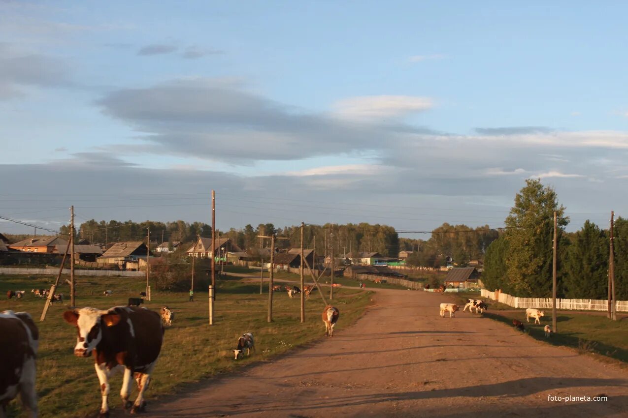 Вознесенское красноярский край. Кочергино красноярский край. Село вознесенское хабаровский край. Церковь кочергино курагинского. Кочергино церковь вознесения.