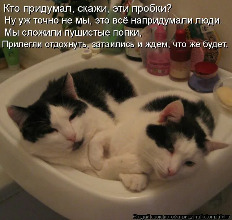 первый автомобиль кто изо. ну кто тебе сказал ну кто тебе сказал. кто придумал кто сказал текст. счастье это не станция назначения а способ путешествия. высшее счастье в жизни это уверенность в том что вас любят.